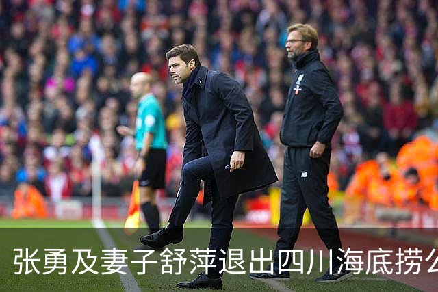 张勇及妻子舒萍退出四川海底捞公司董事会，控制权未变